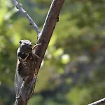 Lavande Διαμέρισμα La Robine-Sur-Galabre