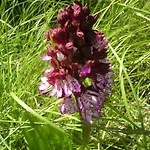 Lavande Διαμέρισμα