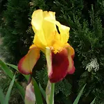 Διαμέρισμα Lavande La Robine-Sur-Galabre