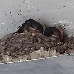 Διαμέρισμα Lavande La Robine-Sur-Galabre