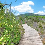 Lavande *