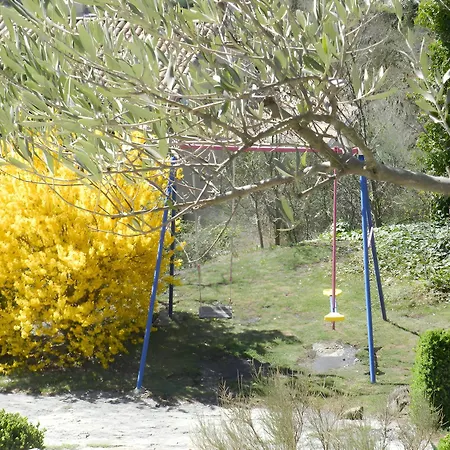 Lavande * La Robine-Sur-Galabre