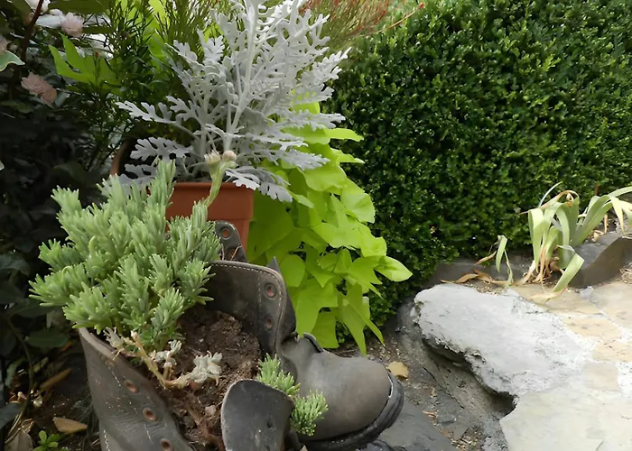 Lavande Apartamento *