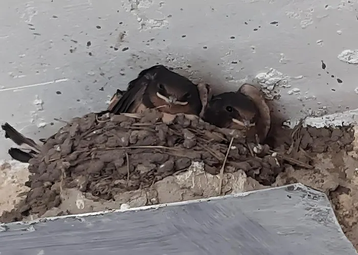 Apartamento Lavande La Robine-Sur-Galabre