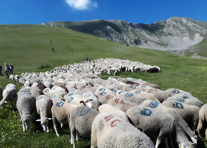 Apartamento Lavande La Robine-Sur-Galabre